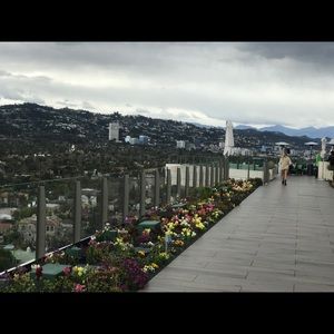 Meet your Posher, Donthi